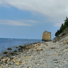 Елена Дмитриева, Вологда