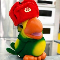 Vinício Uriarte, 09.03.1995, Passo Fundo