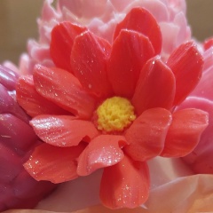 Светлана Осипова, 28.03, Санкт-Петербург