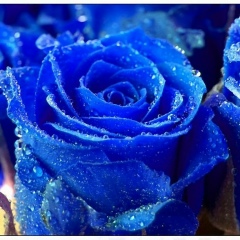 Анна Марунина, 07.11, Москва