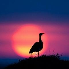 Татьяна Соловьева, 16.07