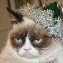 Костик Малков, 08.08.1977, Москва