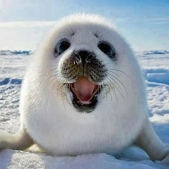 Мария Крылова, 23.05, Таллин