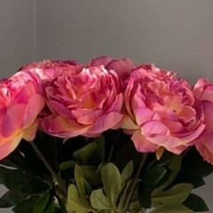 Гаухар Ергазиева, 29.12.1986, Атырау