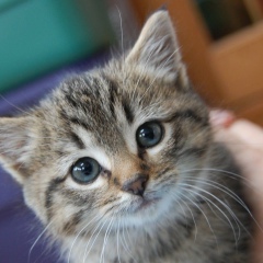 Karina Kasulina, 23.05.2000, Kressbronn