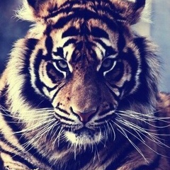 Рымбек Асилханов, 13.01, Алматы