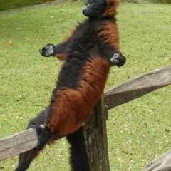 Юрий Тарнуев, 04.02, Москва