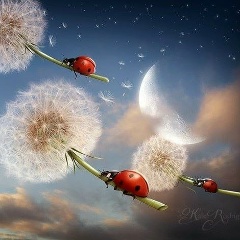 Наталия Потехина, 13.04.1985, Санкт-Петербург