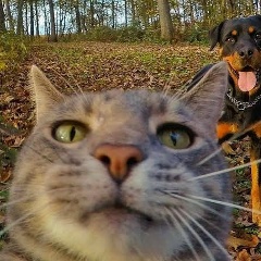 Фархад Ринатович, Казань