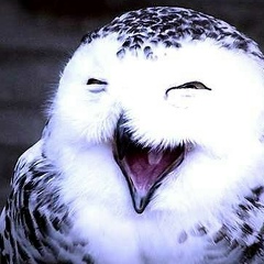 Павел Трубников, 16.11.1988, Москва