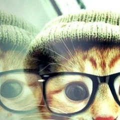 Эльдар Сейфулин, 15.06.1985, Санкт-Петербург