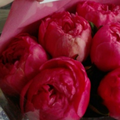 Люция Рамильевна, 01.06, Москва