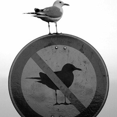 Сергей Прохоров, Санкт-Петербург