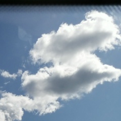 Антон Васильев, Санкт-Петербург