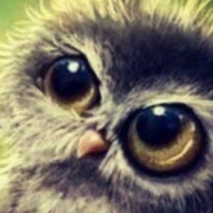 Дмитрий Хорошкин, 06.11.1985, Актобе