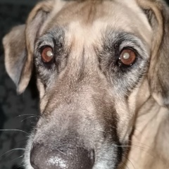 Андрей Петрин, 16.10.1985, Заречный