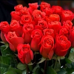 Ботагоз Журкабаева, 30.01.1987, Ясный