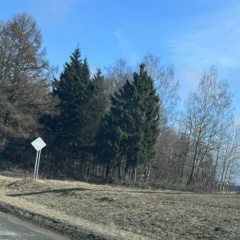 Эльмир Алиев, 20.10.1992, Москва