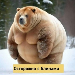 Сергей Жуков, Кириши