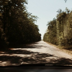 Дауд Дулуев, 31.01, Грозный