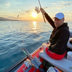 Александр Хомяков, Санкт-Петербург