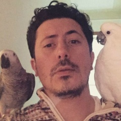 Гасан Ахмедов, 05.10.1984, Баку