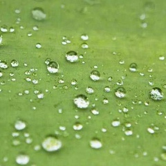 Бакберген Айгалымулы