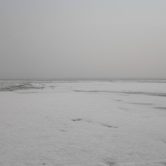 Анна Щеглова