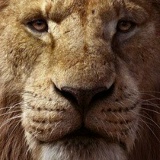 Михаил Героев, 22.07, Москва