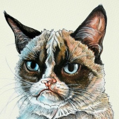 Егор Новоселов, 17.04.1989, Екатеринбург