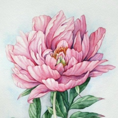 Віта Бортник, 11.02.1992, Одесса