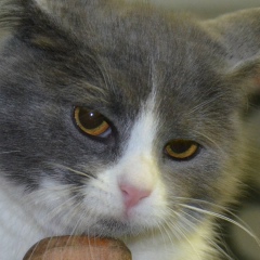 Рома Шкроботько, 26.12.1990, Киев