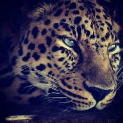 Айгерим Айгерим, Алматы