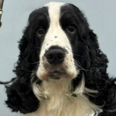 Никита Иванов, 25.12.1988, Санкт-Петербург