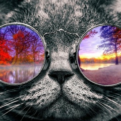 Yura Kulaev, 17.10.1982, Пятигорск