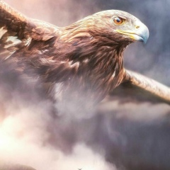 Аида Оспанова, 16.02.1990, Алматы