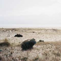Ульяна Ряполова, 27.12.1986, Москва