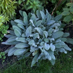 Татьяна Зубанкова, 22.11, Москва