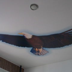 Сергей Петров, Чебоксары