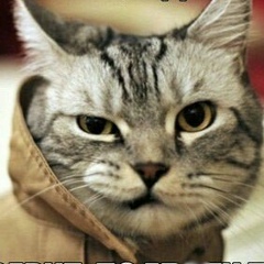 Антон Балабух, 29.06.1994, Сургут