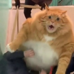 Сергей Юдов, 15.05, Санкт-Петербург