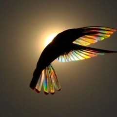 Амина Бахо, 10.12.1987, Грозный