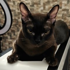 Владимир Баранников, 18.03