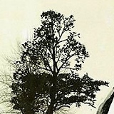 Никита Широков, 04.11.1985, Москва