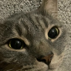 Евгений Константинов, 11.02, Дом Отдыха Александрино