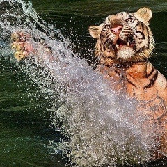 Иван Шилов, 25.12