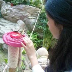 Гулирано Рахимова, 05.07.1995, Чирчик