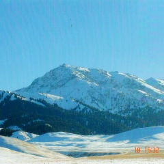 Ербұлан Бөрбай