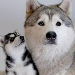 Алтынай Карибаева, 03.11.1987, Караганда