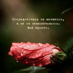 Зарина Султанова, Москва